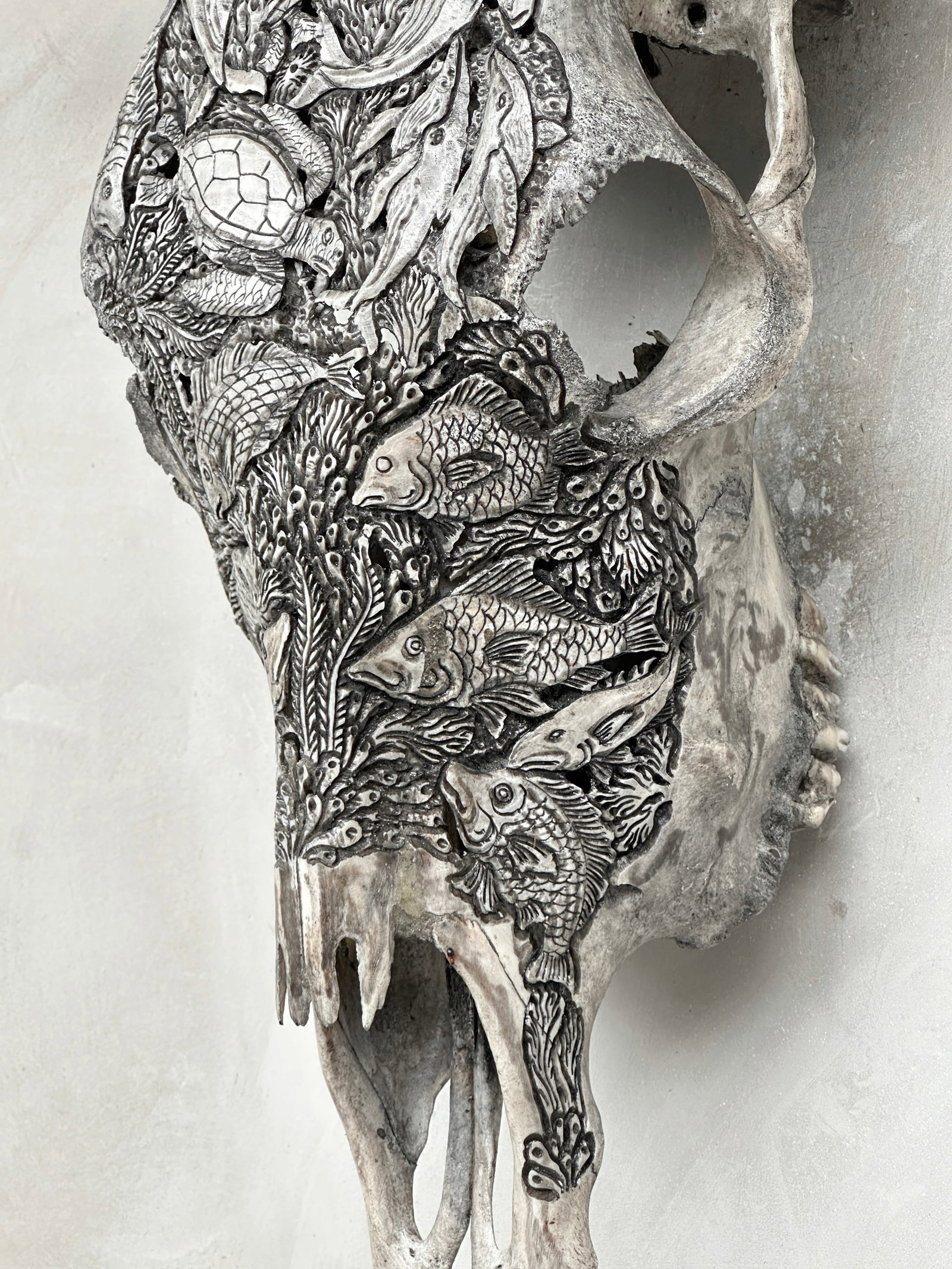 Grey bull's skull - Marine motif - 8