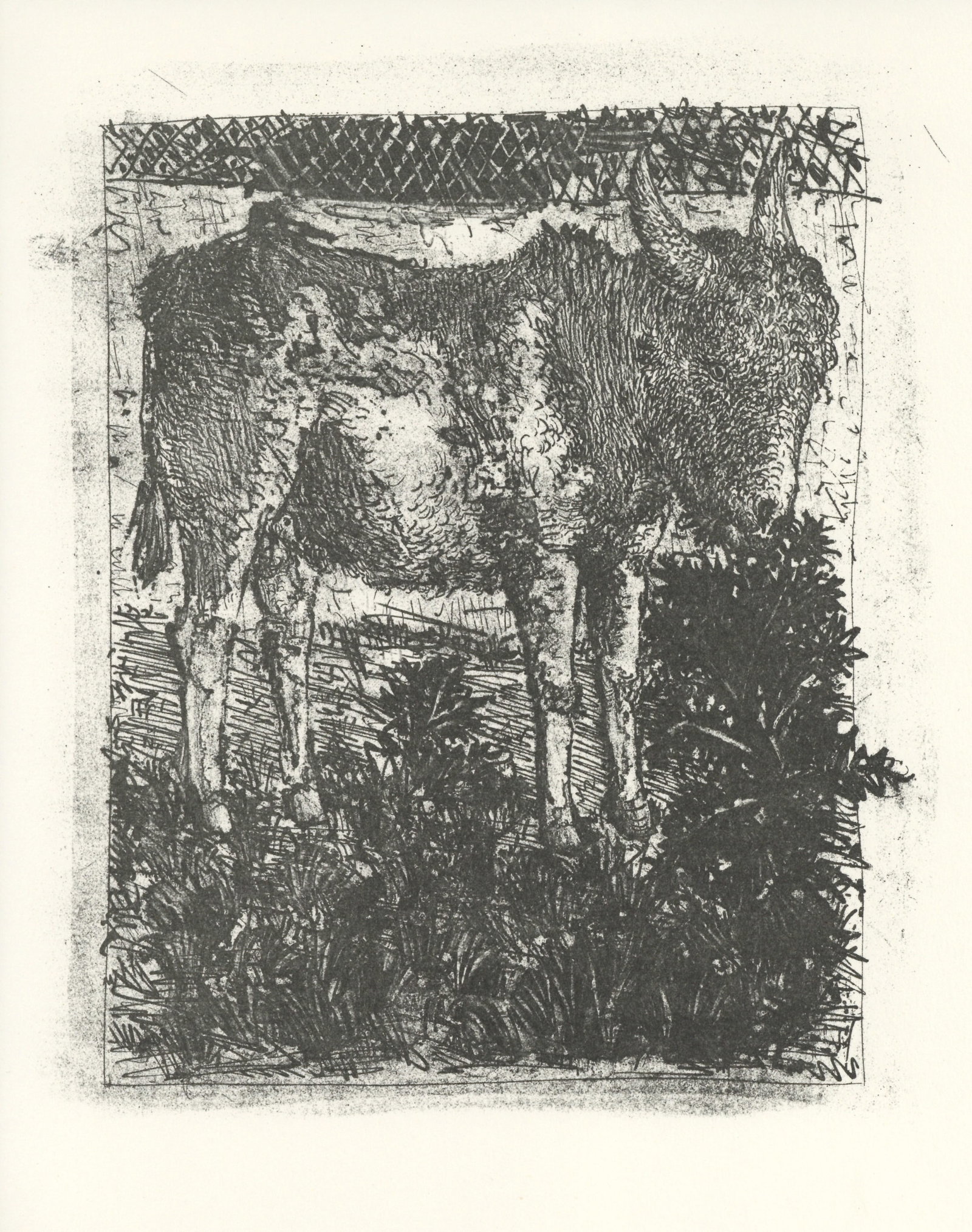 Pablo Picasso "L'Ane" The Donkey | Buffon (1 of 1)