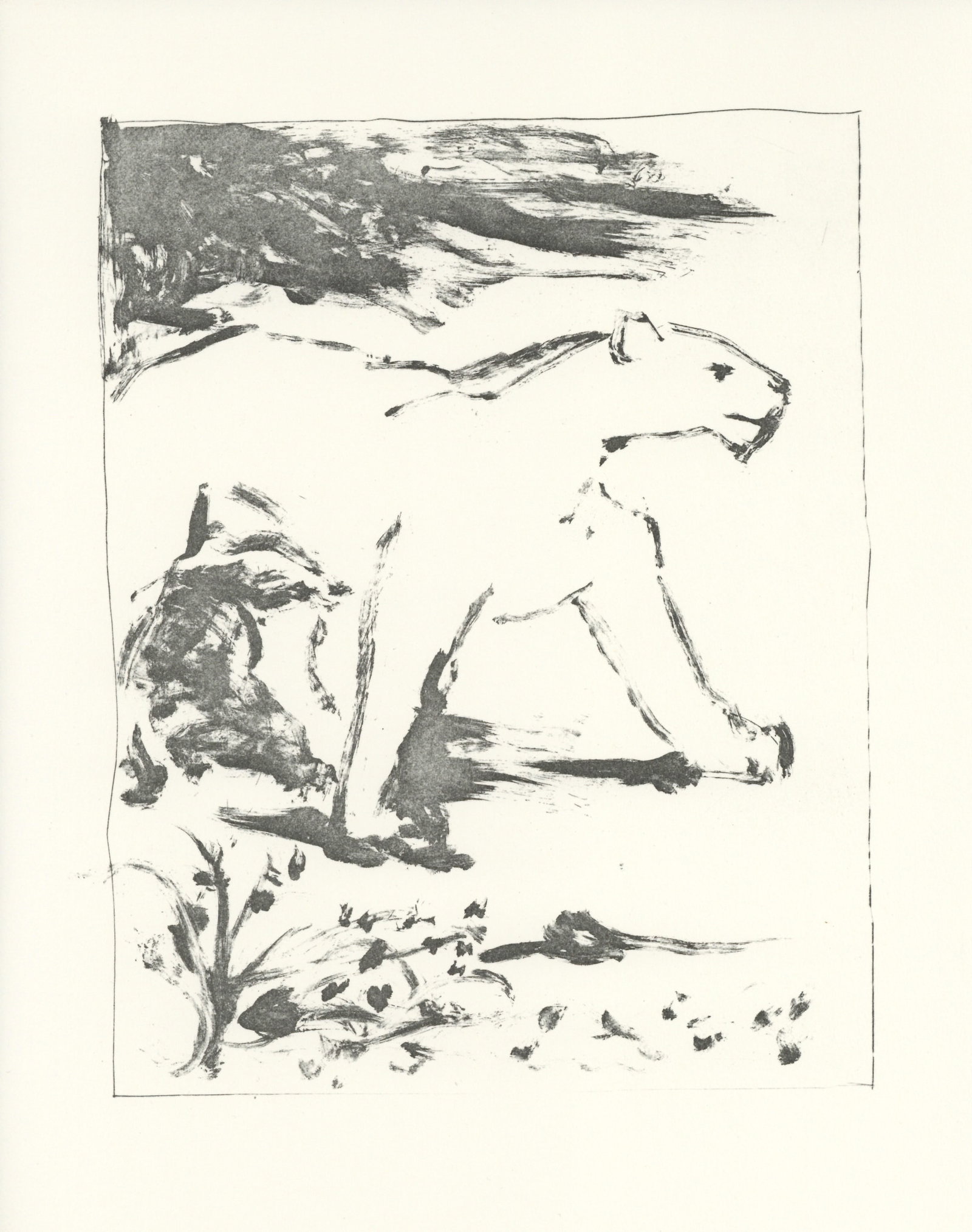 Pablo Picasso "Le Lion" Buffon: Medium: offset lithograph (after the etching). Printed on velin bouffant paper from the Papeteries Casteljoux and published in France by Edito-Service Geneve c. 1970. This reproduces one of the famous