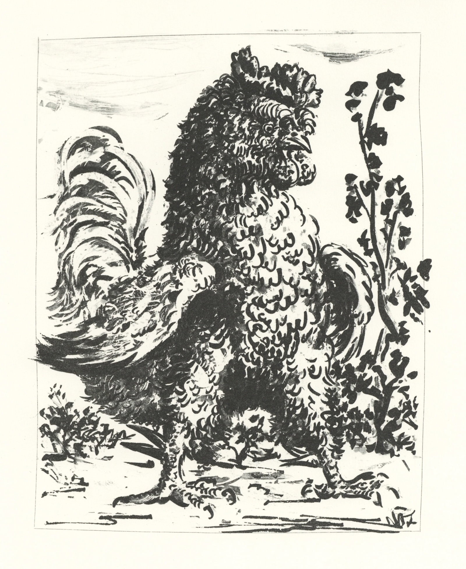 Pablo Picasso "Le Coq" The Rooster | Buffon: Medium: offset lithograph (after the etching). Printed on velin bouffant paper from the Papeteries Casteljoux and published in France by Edito-Service Geneve c. 1970. This reproduces one of the