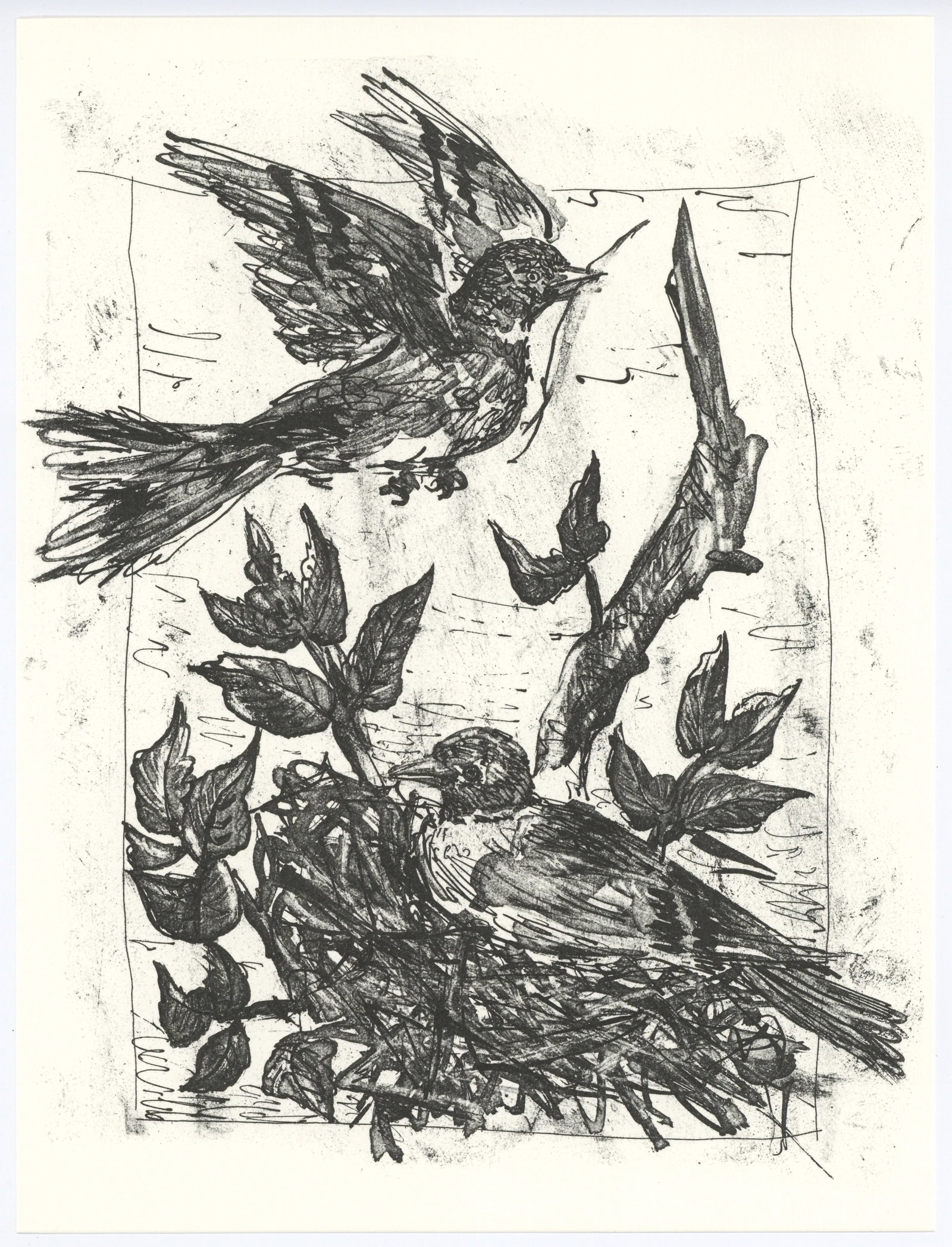 Pablo Picasso "Le Chardonneret" The Goldfinch | Buffon: Medium: offset lithograph (after the etching). Printed on velin bouffant paper from the Papeteries Casteljoux and published in France by Edito-Service Geneve c. 1970. This reproduces one of the famous