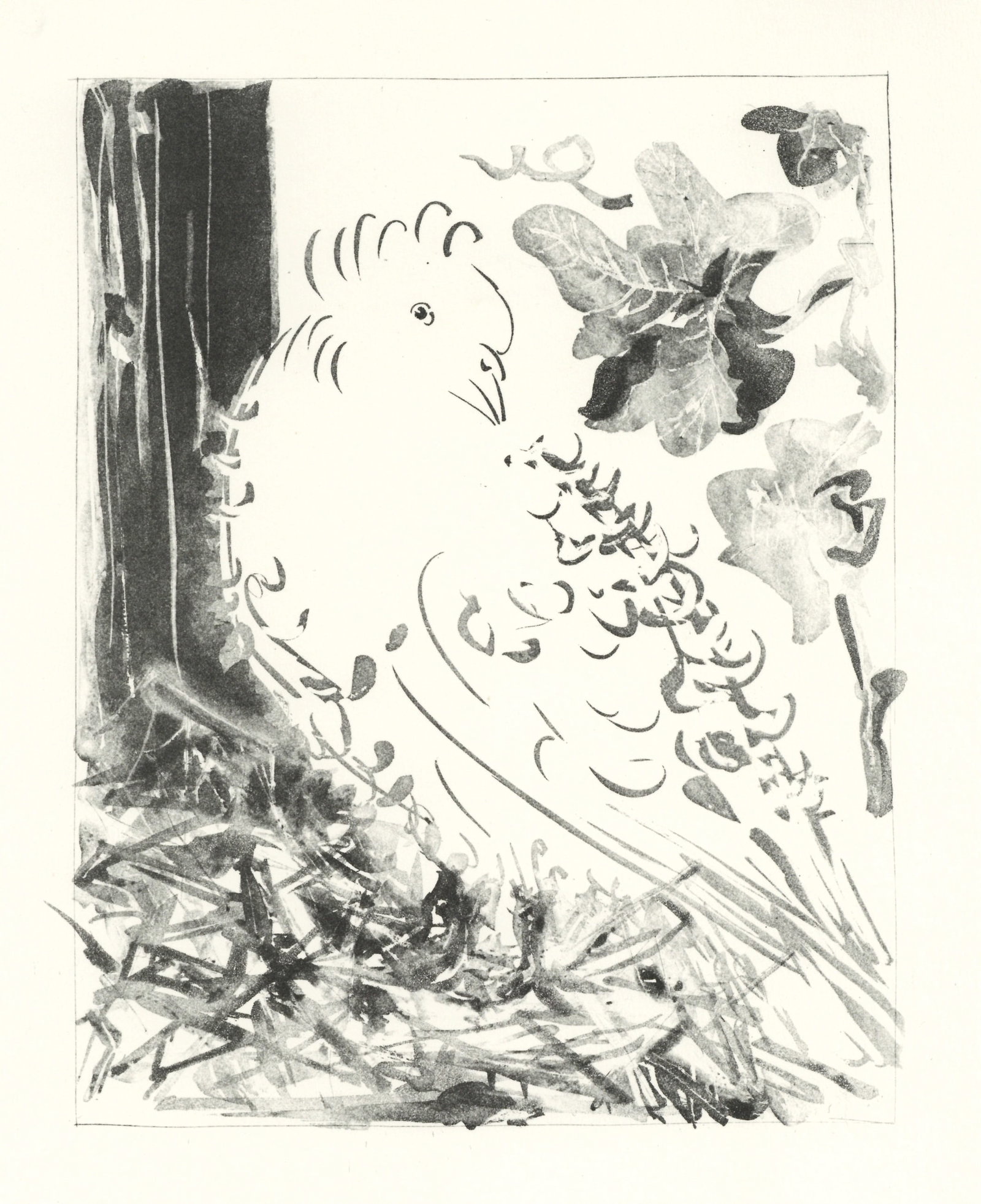 Pablo Picasso "Le Pigeon" Buffon: Medium: offset lithograph (after the etching). Printed on velin bouffant paper from the Papeteries Casteljoux and published in France by Edito-Service Geneve c. 1970. This reproduces one of the famous
