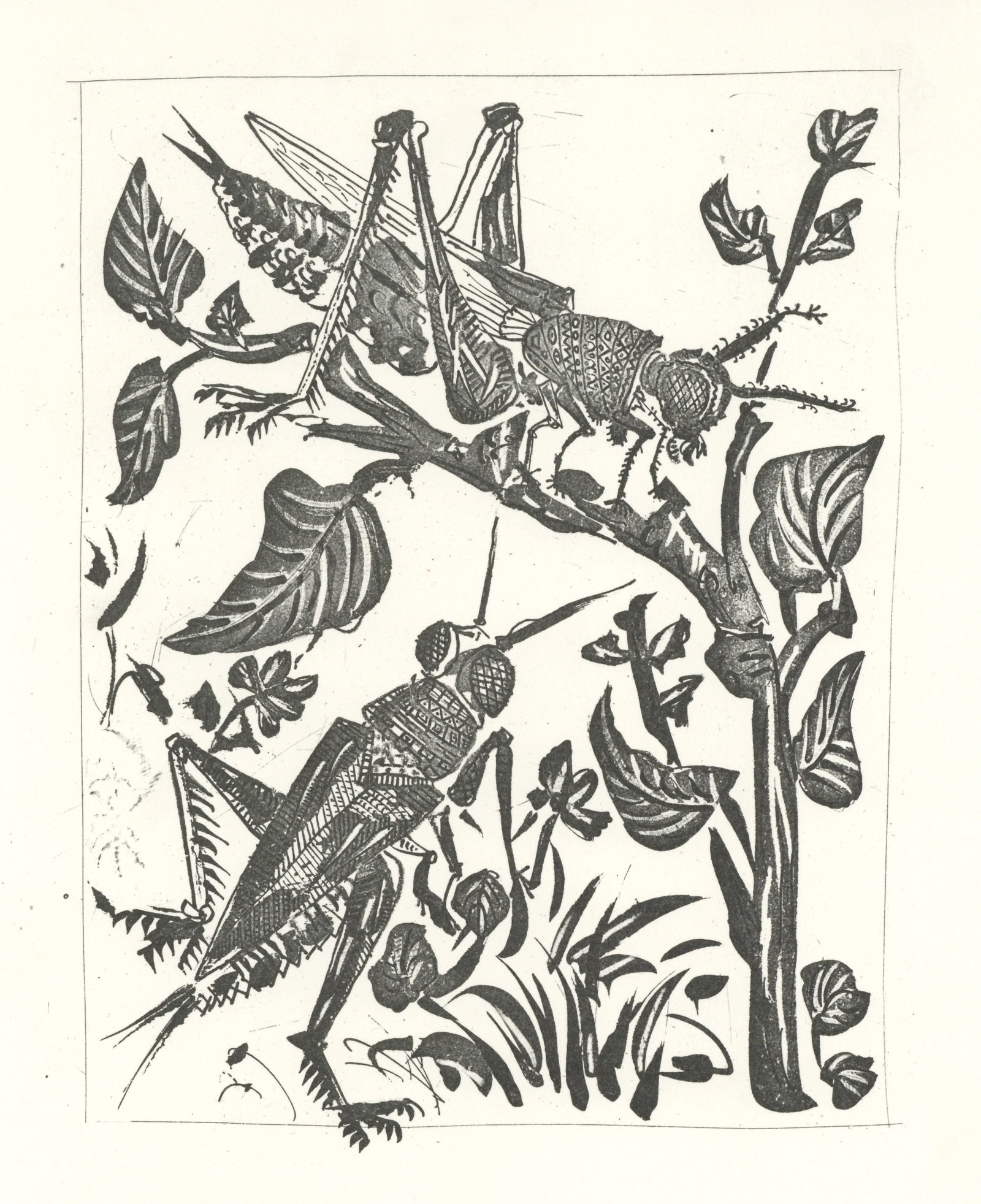 Pablo Picasso "La Sauterelle" The Grasshopper | Buffon: Medium: offset lithograph (after the etching). Printed on velin bouffant paper from the Papeteries Casteljoux and published in France by Edito-Service Geneve c. 1970. This reproduces one of the famous