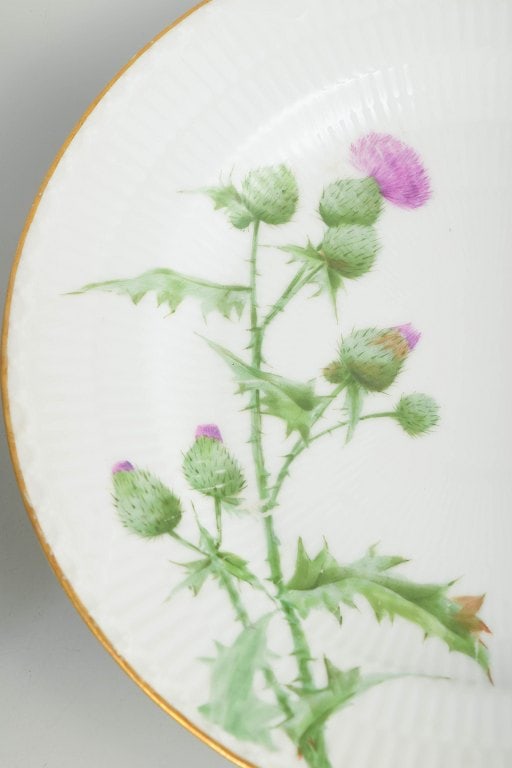 Royal Copenhagen, Denmark. Thistle, set of four porcelain dinner plates in green and pink tones. - 3
