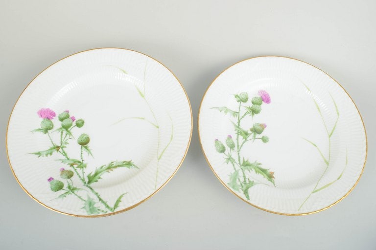Royal Copenhagen, Denmark. Thistle, set of six porcelain dinner plates in green and pink tones. - 2