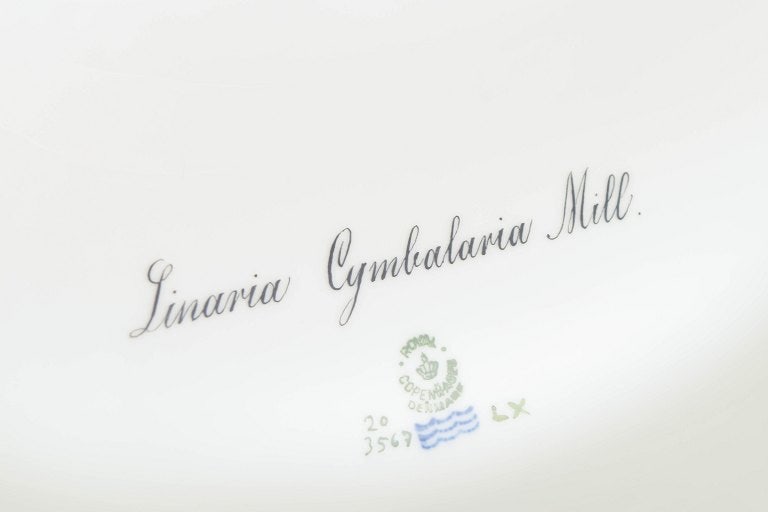 Royal Copenhagen, Denmark. Flora Danica porcelain lidded dish with the botanical motif. Dated 1946. - 6