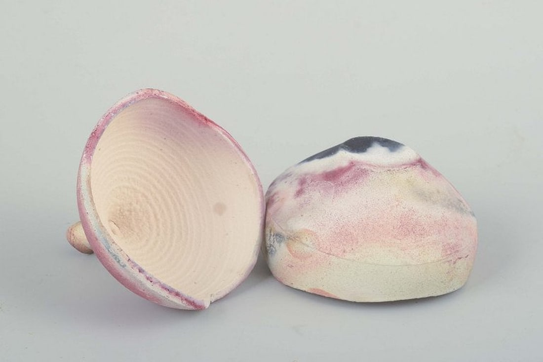 Scandinavian studio potter. Organically shaped lidded jar in thrown stoneware with raw surface. - 4
