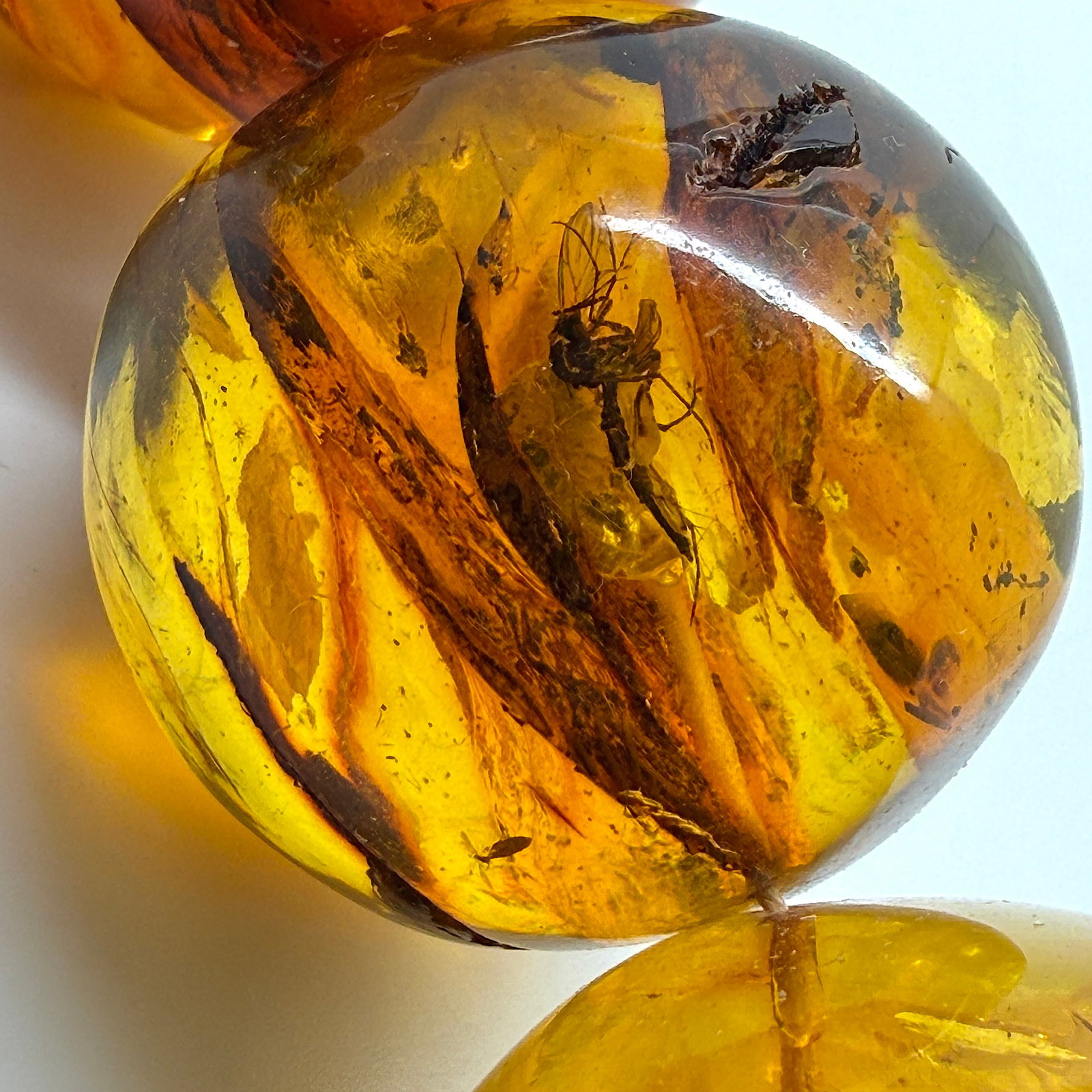 Remarkable Amber Necklace with Insect Inclusions - 7