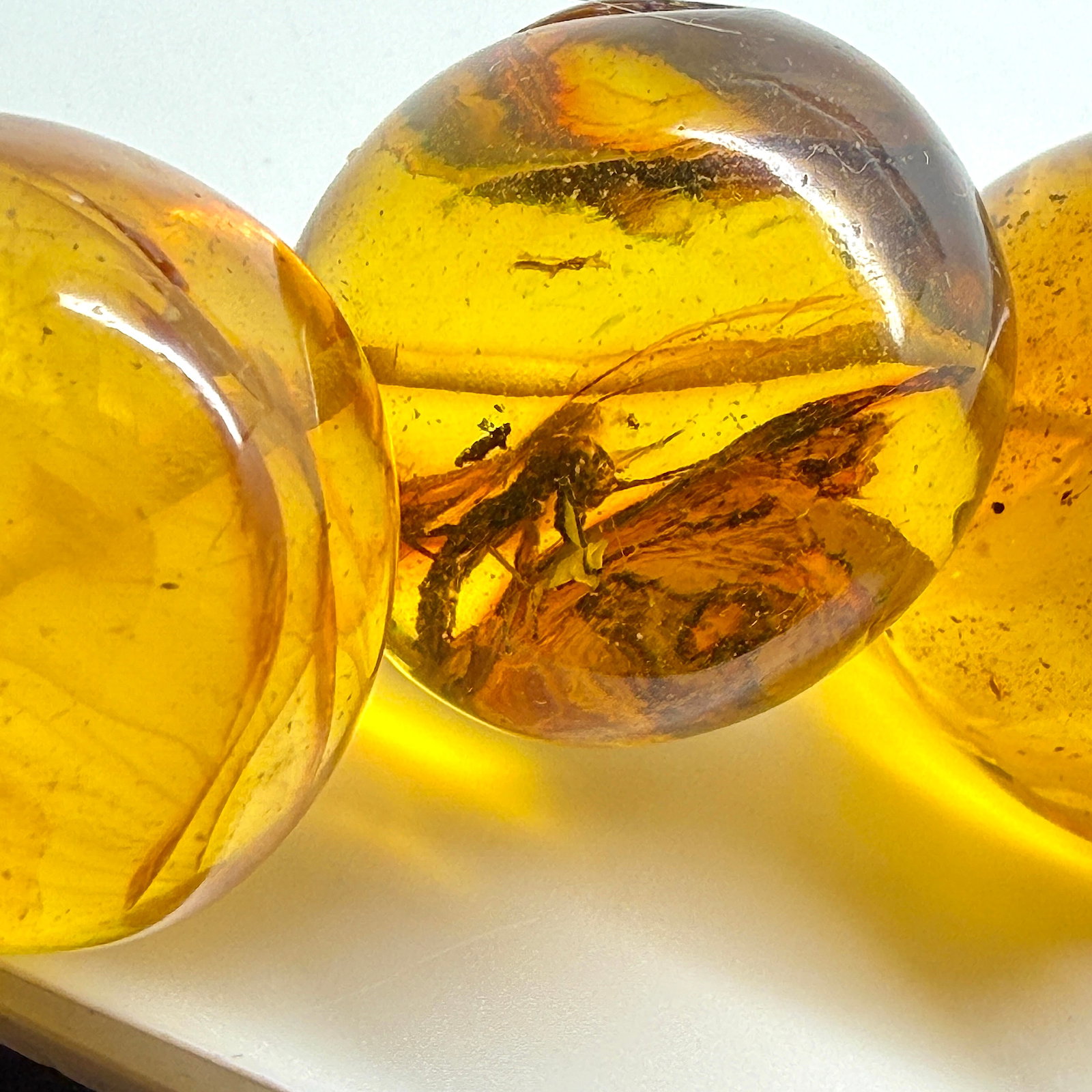 Remarkable Amber Necklace with Insect Inclusions - 8