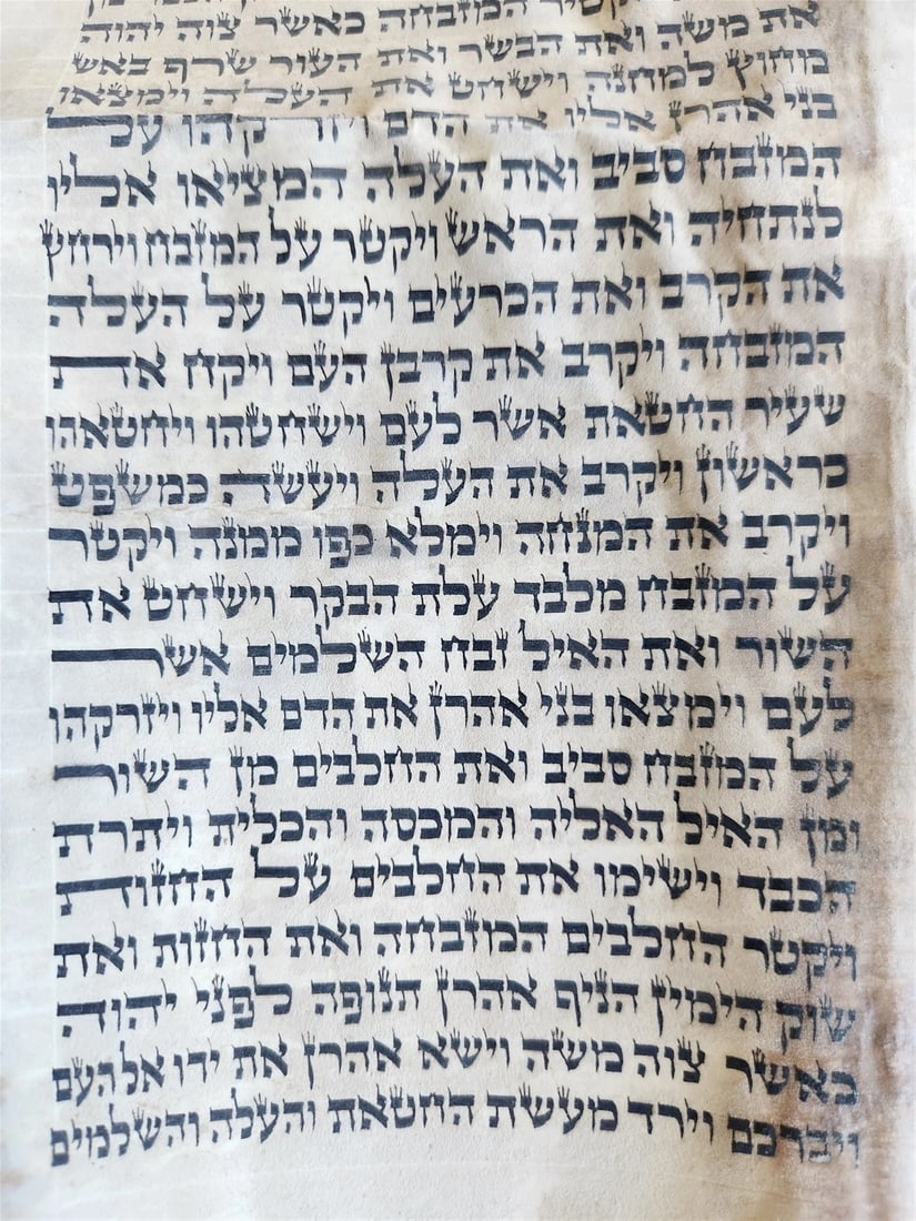 TORAH SCROLL FRAGMENT MANUSCRIPT on VELLUM 19th century ANTIQUE LEVITICUS 9:3 - 3