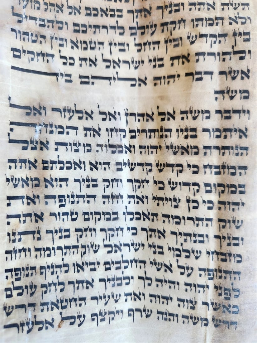 TORAH SCROLL FRAGMENT MANUSCRIPT on VELLUM 19th century ANTIQUE LEVITICUS 9:3 - 4