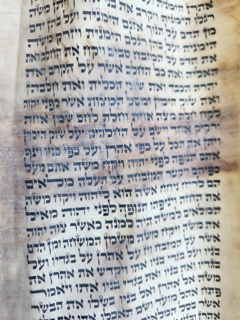 TORAH SCROLL FRAGMENT MANUSCRIPT on VELLUM 19th century ANTIQUE LEVITICUS 9:3 - 5