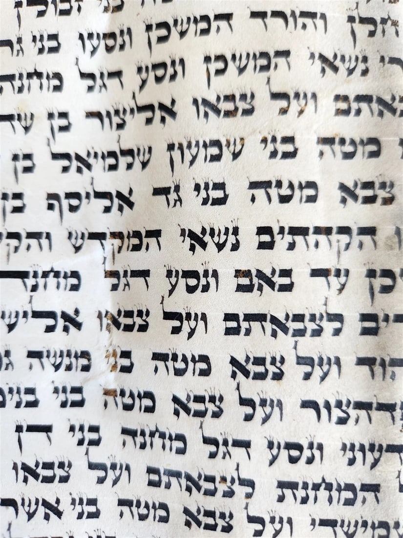 TORAH SCROLL FRAGMENT MANUSCRIPT on VELLUM 19th century ANTIQUE Book of NUMBERS - 3