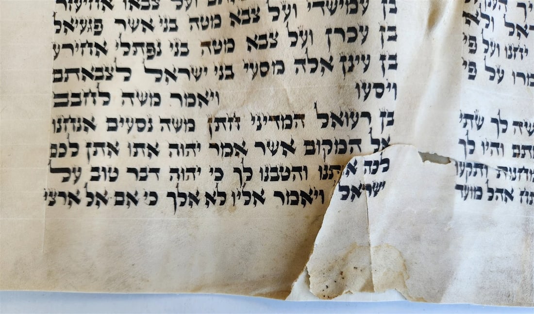TORAH SCROLL FRAGMENT MANUSCRIPT on VELLUM 19th century ANTIQUE Book of NUMBERS - 5