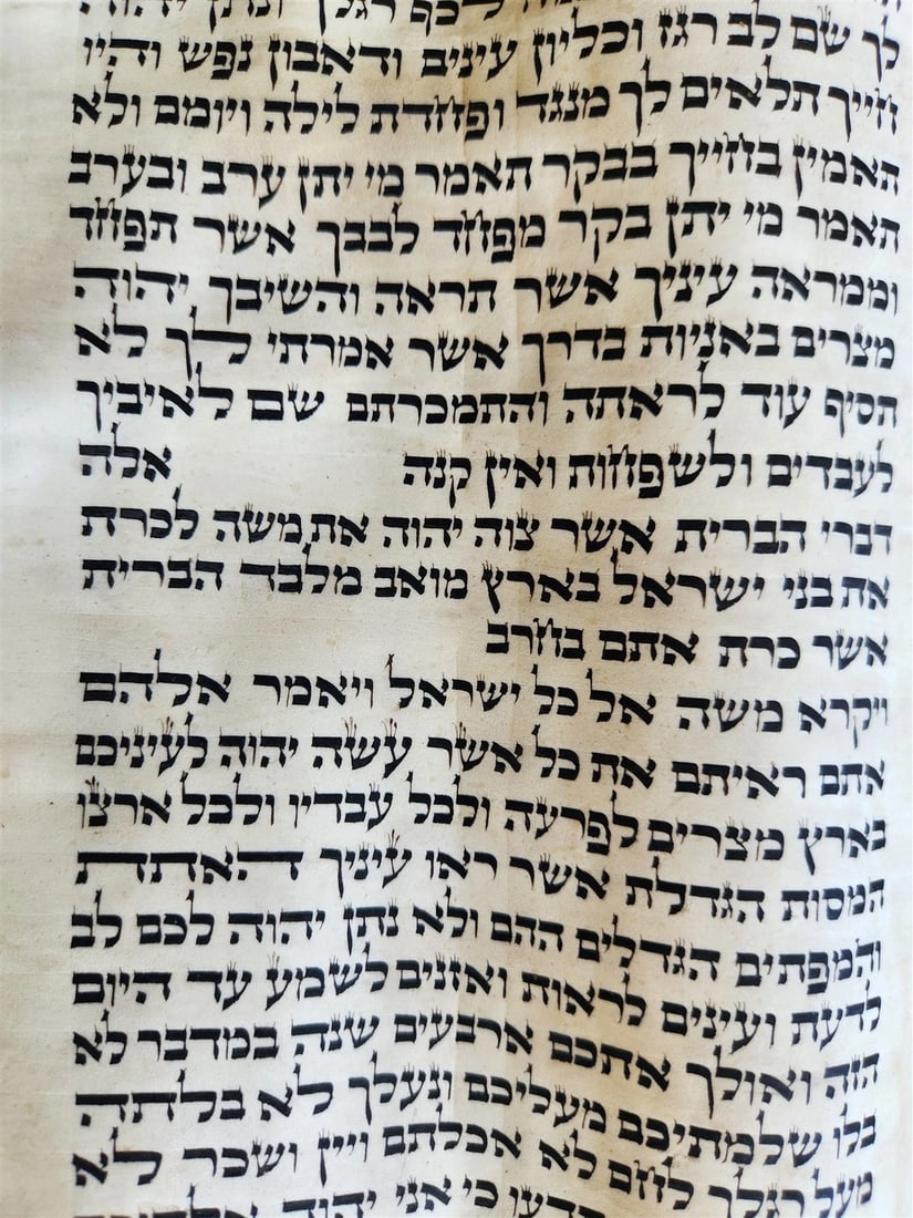 TORAH SCROLL FRAGMENT VELLUM MANUSCRIPT 19th century ANTIQUE DEUTERONOMY 28:30 - 4