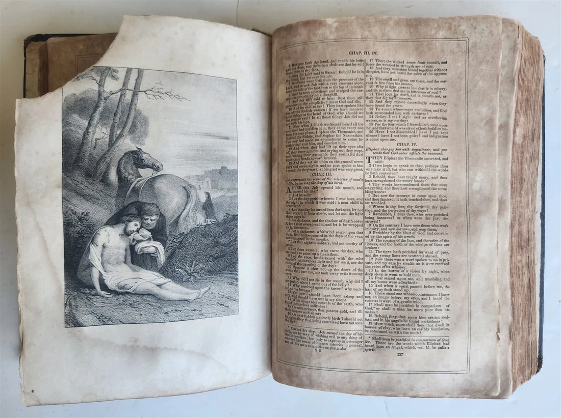 1855 BIBLE in ENGLISH antique OLD & NEW TESTAMENT Boston AMERICANA - 18
