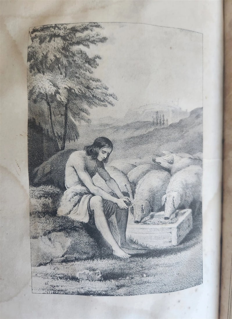 1855 BIBLE in ENGLISH antique OLD & NEW TESTAMENT Boston AMERICANA - 6