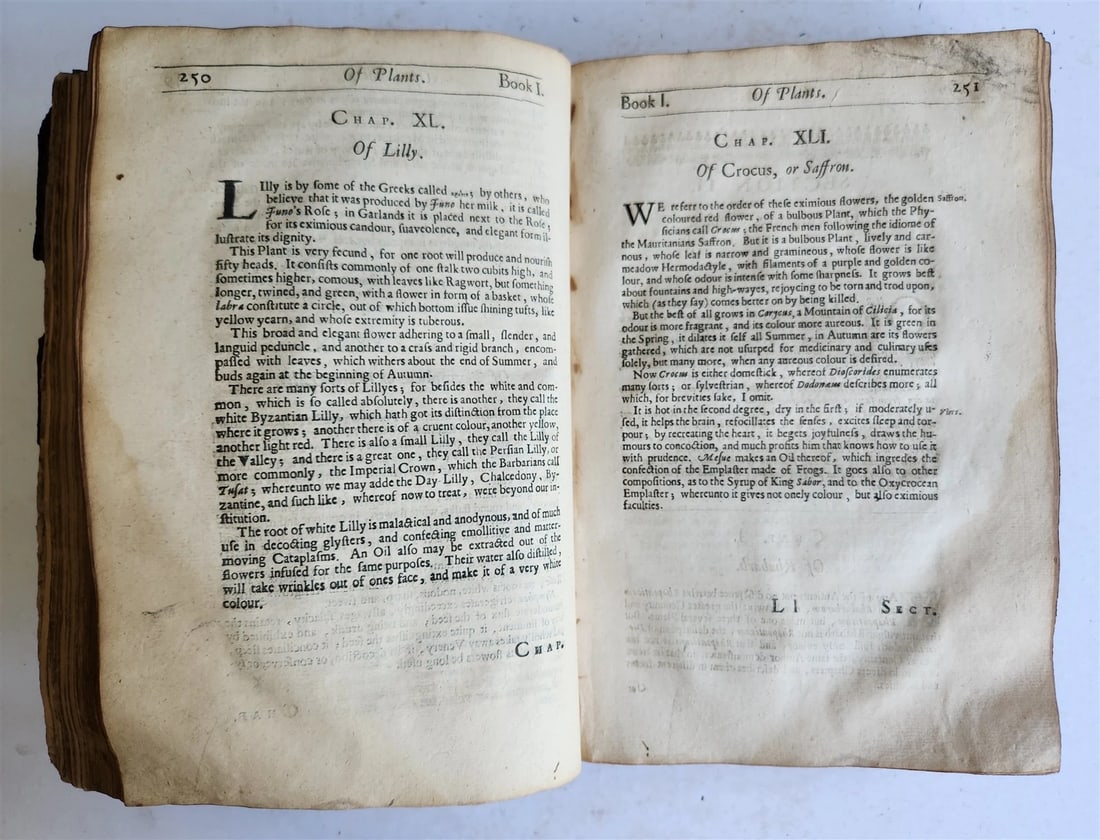 1657 MEDICINAL DISPENSATORY PHARMACOPOEA antique in ENGLISH - 12