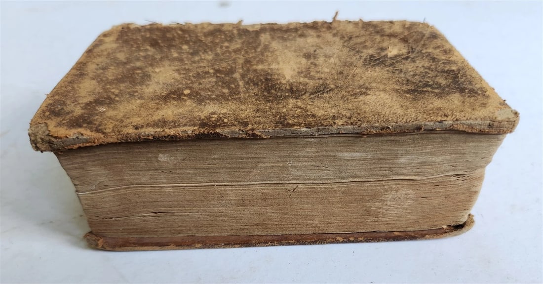 1833 ENGLISH & LATIN AINSWORTH'S DICTIONARY antique AMERICANA - 3