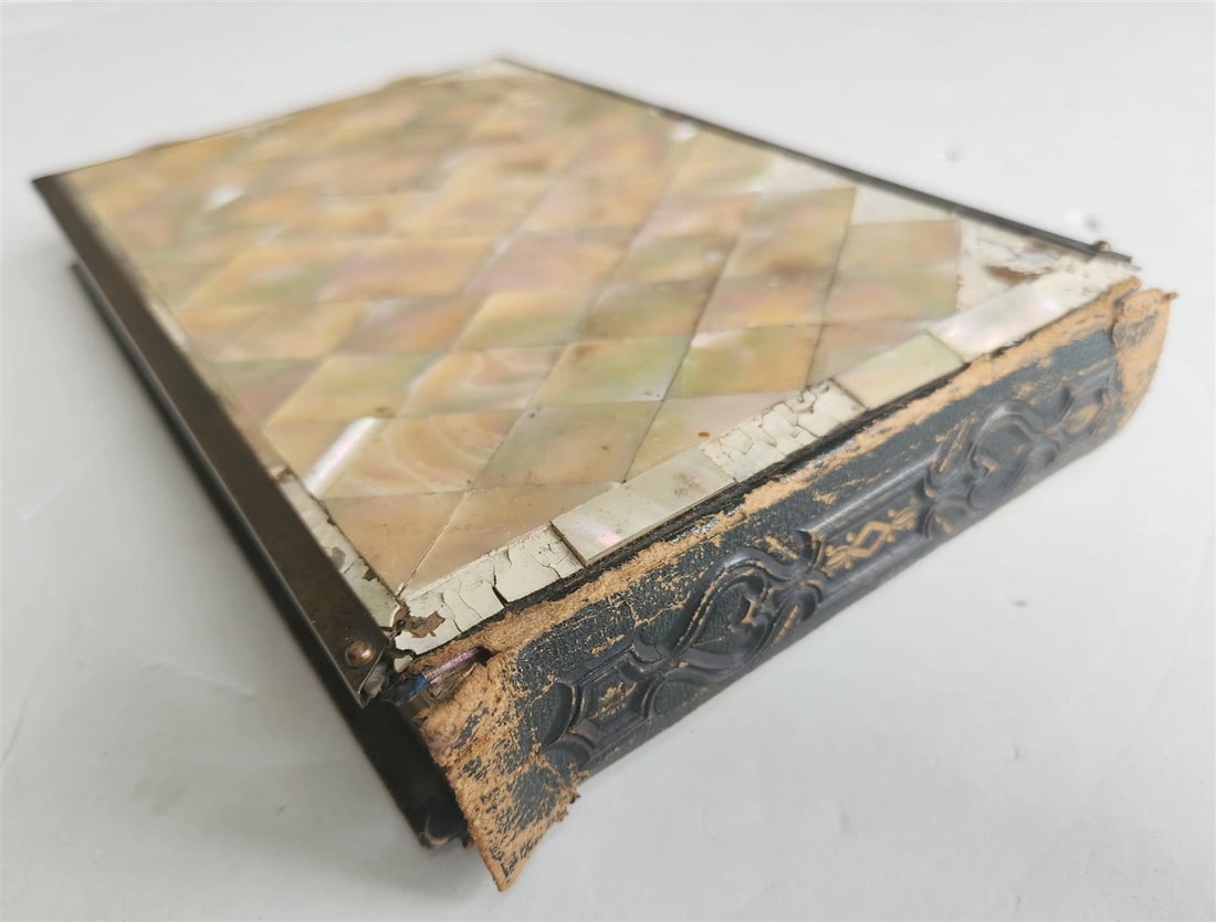 PHOTO ALBUM w/ MOTHER OF PEARL COVERS BRASS FRAME & CLASPS antique 19th CENTURY - 5