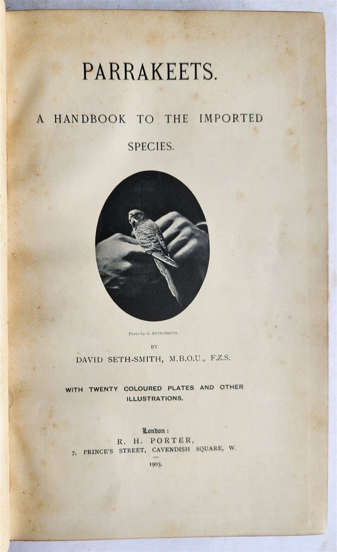 1903 PARRAKEETS Handbook to the Imported Species ANTIQUE ILLUSTRATED parrots - 2