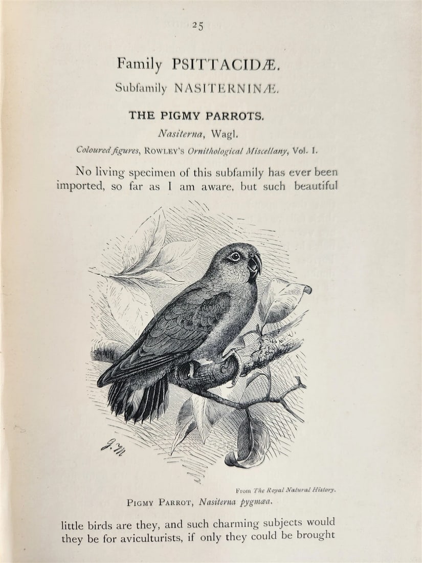 1903 PARRAKEETS Handbook to the Imported Species ANTIQUE ILLUSTRATED parrots - 5