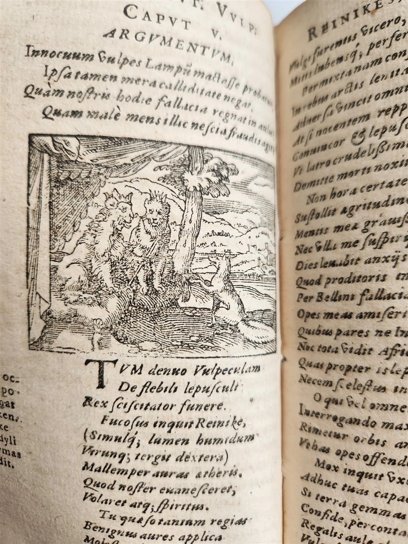 1595 REYNARD the FOX in LATIN illustrated by Jost Amman & Virgil Solis ANTIQUE - 11