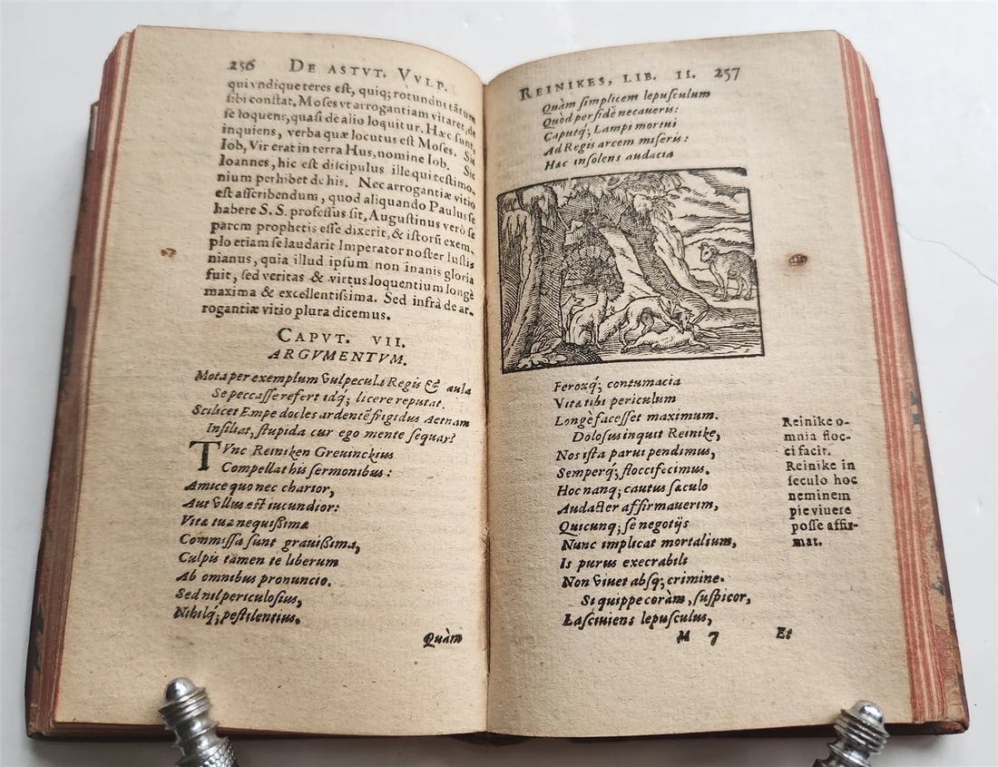 1595 REYNARD the FOX in LATIN illustrated by Jost Amman & Virgil Solis ANTIQUE - 14