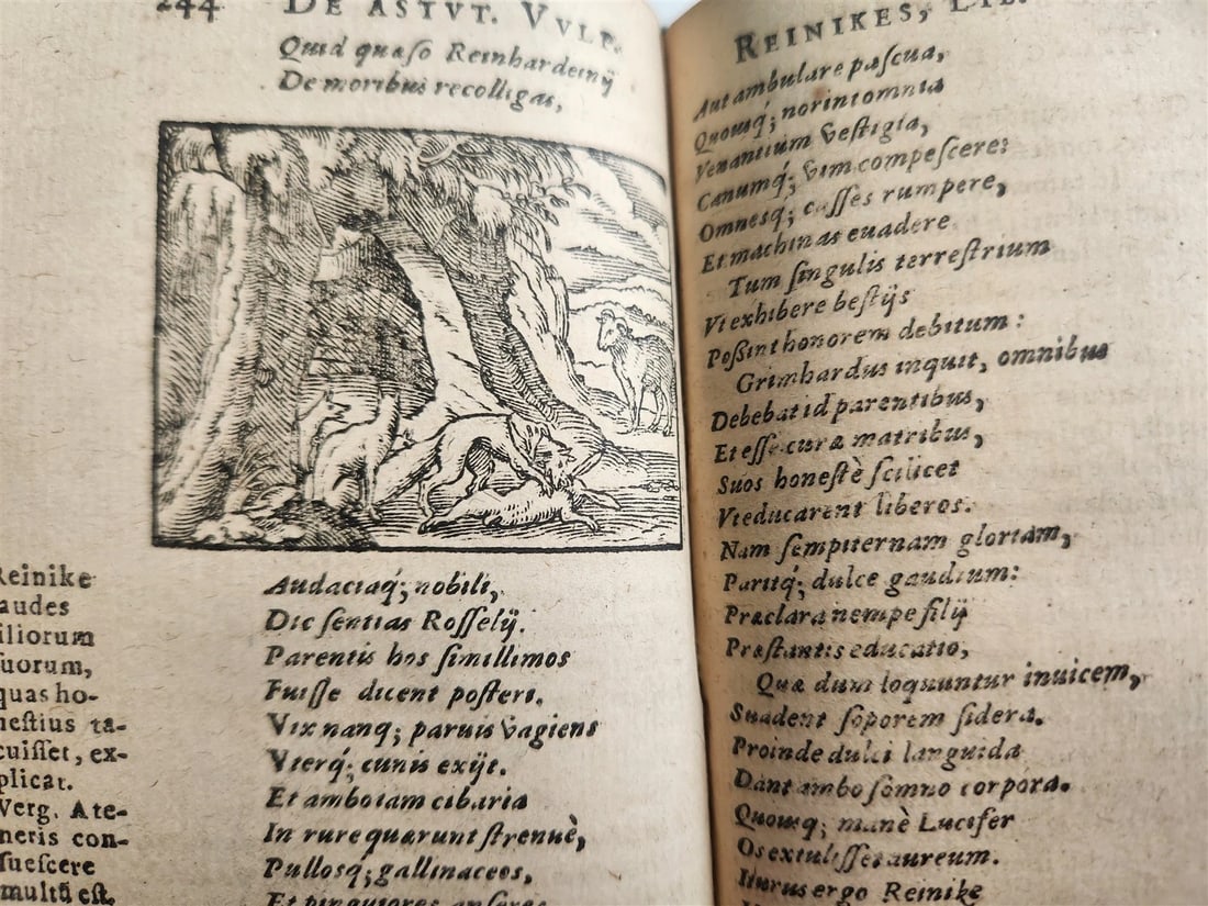 1595 REYNARD the FOX in LATIN illustrated by Jost Amman & Virgil Solis ANTIQUE - 15