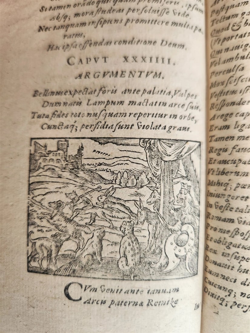 1595 REYNARD the FOX in LATIN illustrated by Jost Amman & Virgil Solis ANTIQUE - 17