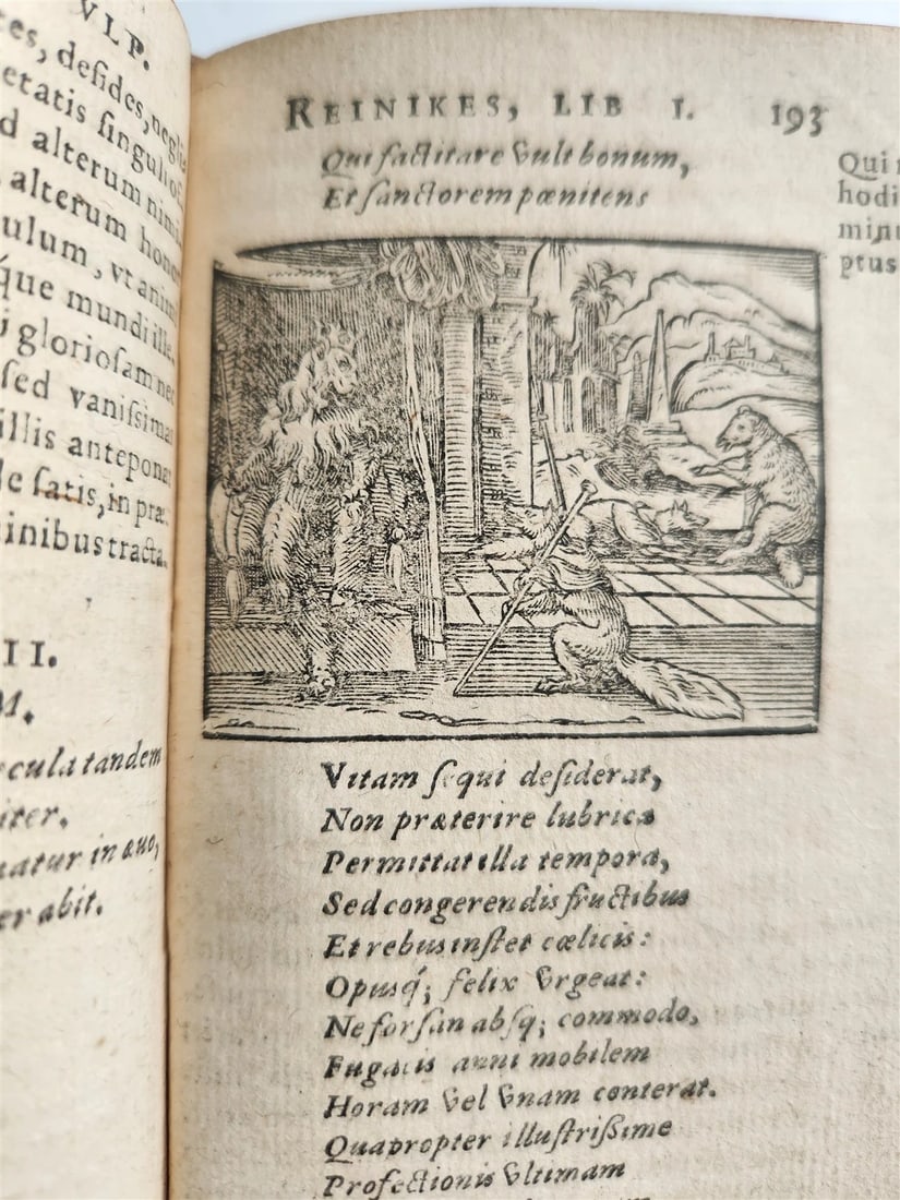1595 REYNARD the FOX in LATIN illustrated by Jost Amman & Virgil Solis ANTIQUE - 18