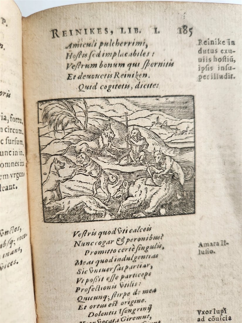 1595 REYNARD the FOX in LATIN illustrated by Jost Amman & Virgil Solis ANTIQUE - 19