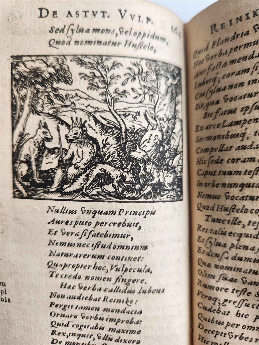 1595 REYNARD the FOX in LATIN illustrated by Jost Amman & Virgil Solis ANTIQUE - 20
