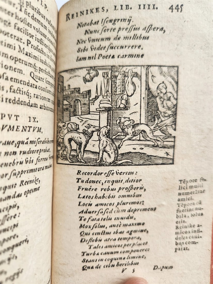 1595 REYNARD the FOX in LATIN illustrated by Jost Amman & Virgil Solis ANTIQUE - 3