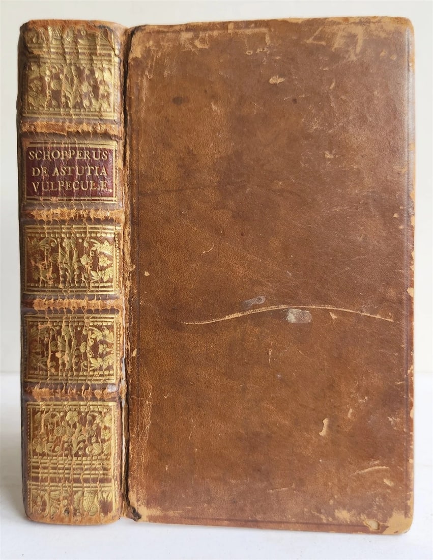1595 REYNARD the FOX in LATIN illustrated by Jost Amman & Virgil Solis ANTIQUE - 5