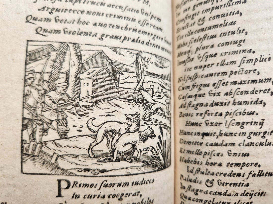 1595 REYNARD the FOX in LATIN illustrated by Jost Amman & Virgil Solis ANTIQUE - 6