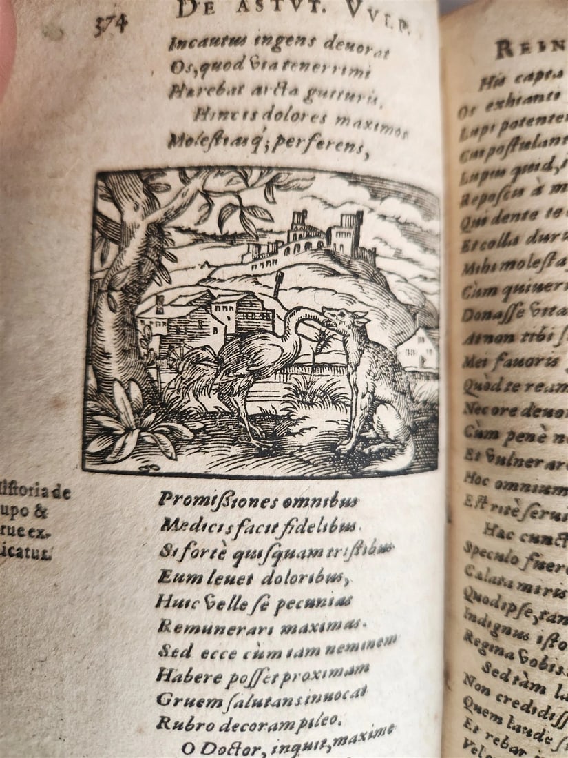 1595 REYNARD the FOX in LATIN illustrated by Jost Amman & Virgil Solis ANTIQUE - 8