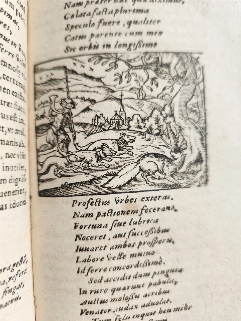 1595 REYNARD the FOX in LATIN illustrated by Jost Amman & Virgil Solis ANTIQUE - 9