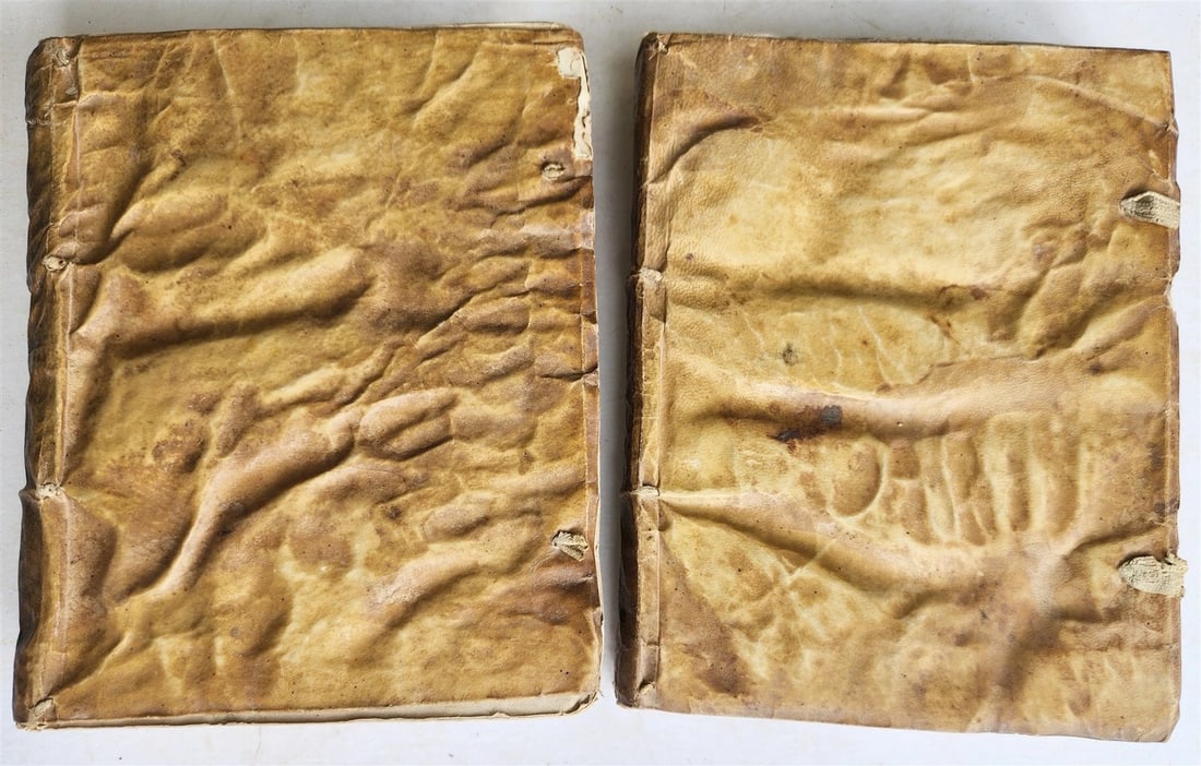 1723 MEDICAL TREATISE on ARTHRITIS & PODAGRA 2 volumes ANTIQUE vellum binding - 6
