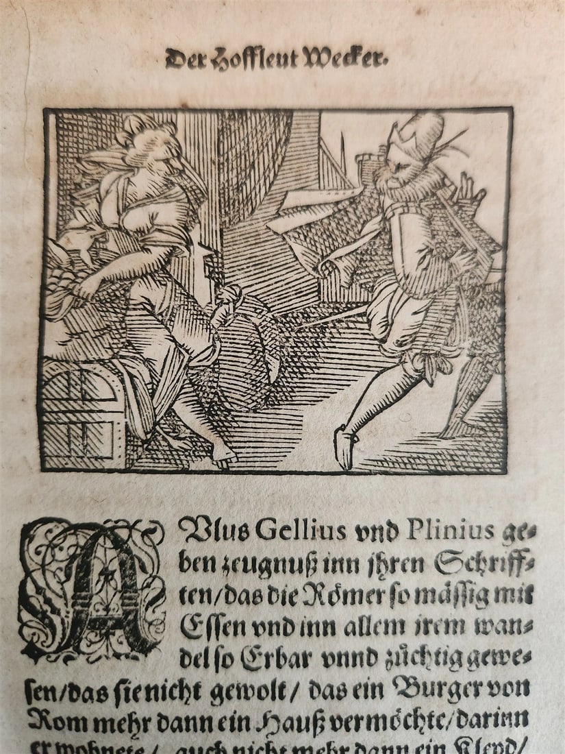 1593 ILLUSTRATED GERMAN COURT RULES antique 16th century VELLUM BINDING rare - 15