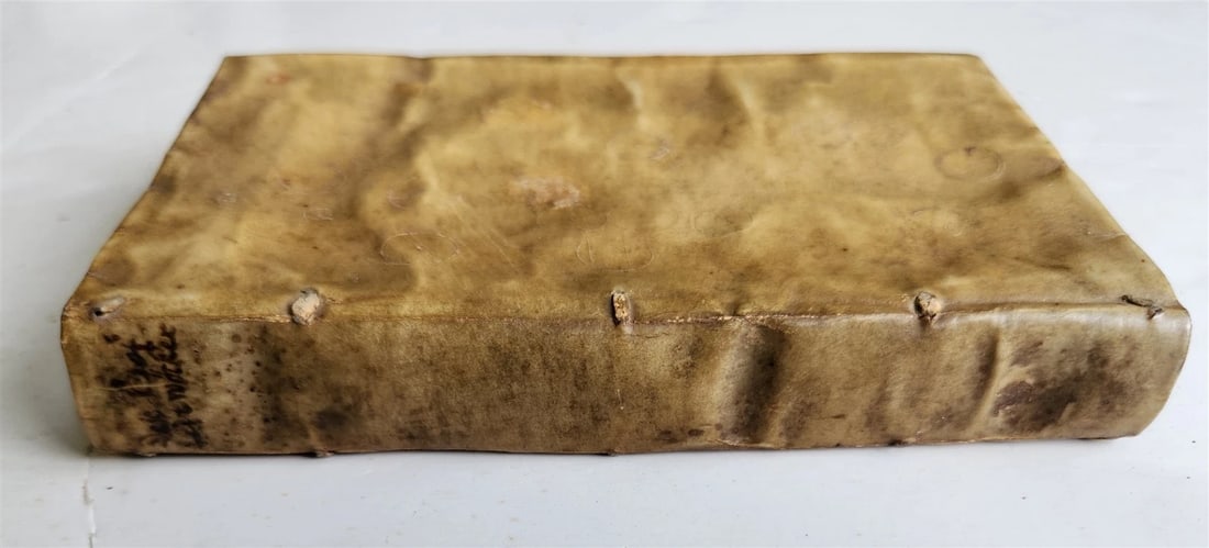 1593 ILLUSTRATED GERMAN COURT RULES antique 16th century VELLUM BINDING rare - 3