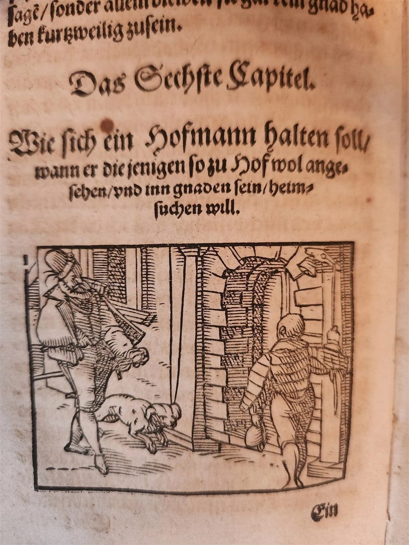 1593 ILLUSTRATED GERMAN COURT RULES antique 16th century VELLUM BINDING rare - 9