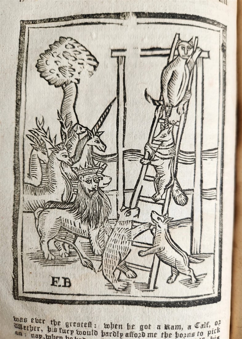 1701 REYNARD THE FOX in ENGLISH antique ILLUSTRATED w/ WOODCUTS - 20