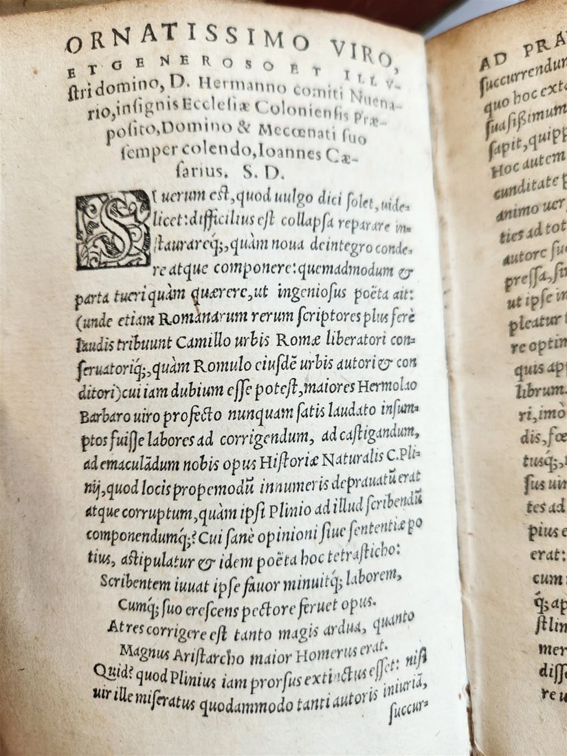 1565 PLINIUS encyclopaedia of natural history 5 VELLUM BOUND VOLUMES 16c ANTIQUE - 10