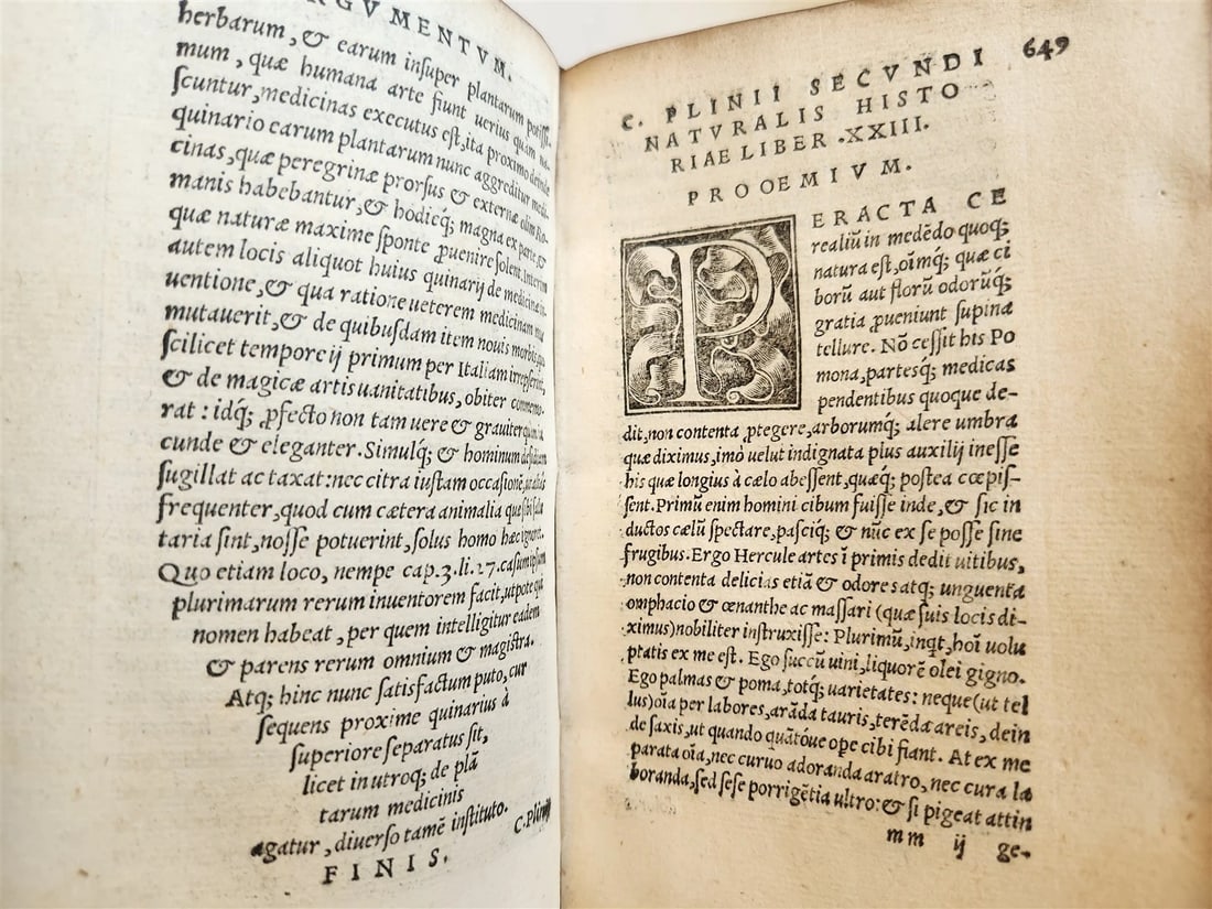1565 PLINIUS encyclopaedia of natural history 5 VELLUM BOUND VOLUMES 16c ANTIQUE - 13