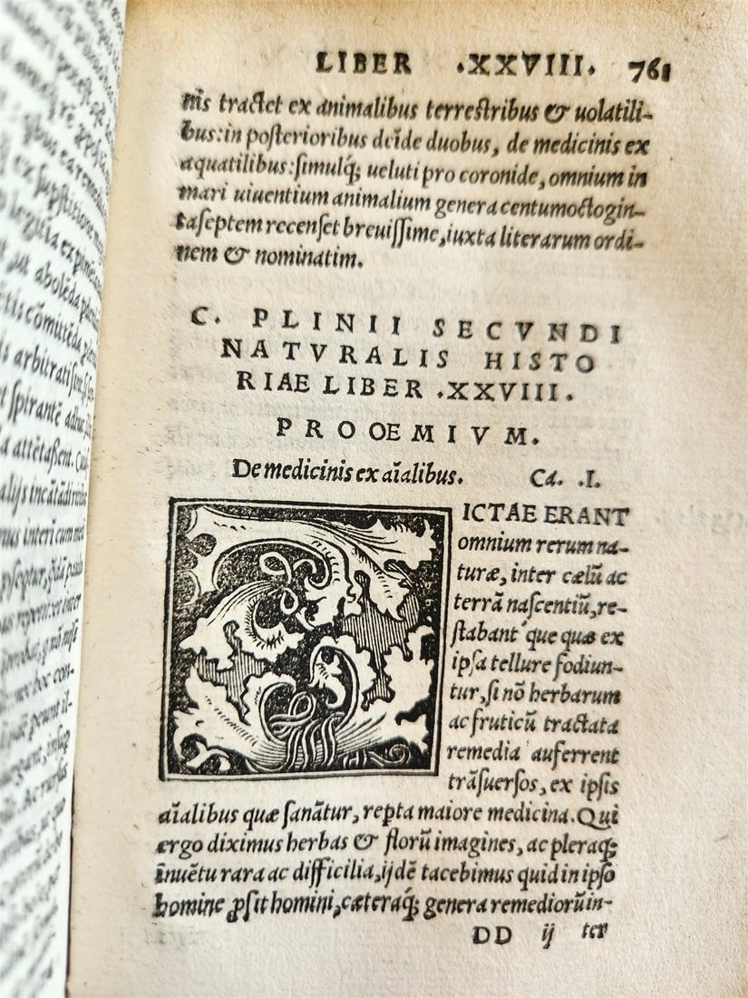 1565 PLINIUS encyclopaedia of natural history 5 VELLUM BOUND VOLUMES 16c ANTIQUE - 14