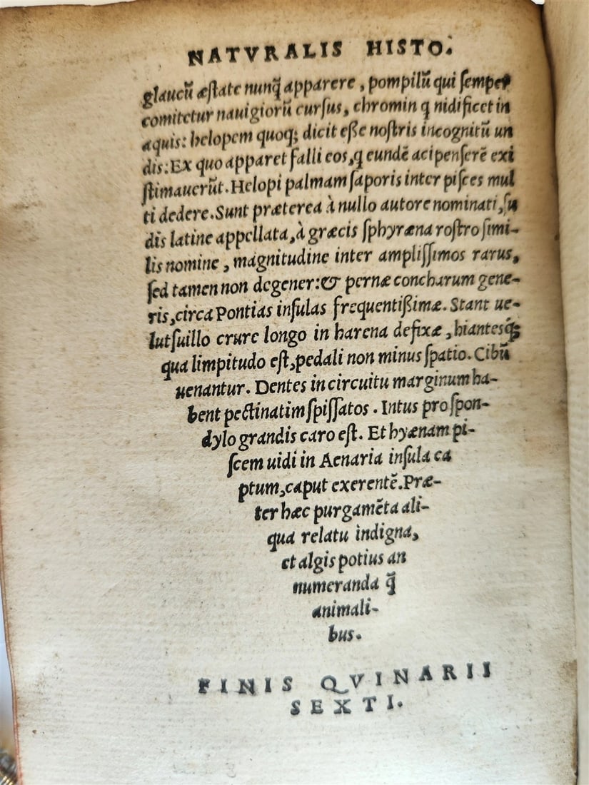 1565 PLINIUS encyclopaedia of natural history 5 VELLUM BOUND VOLUMES 16c ANTIQUE - 15