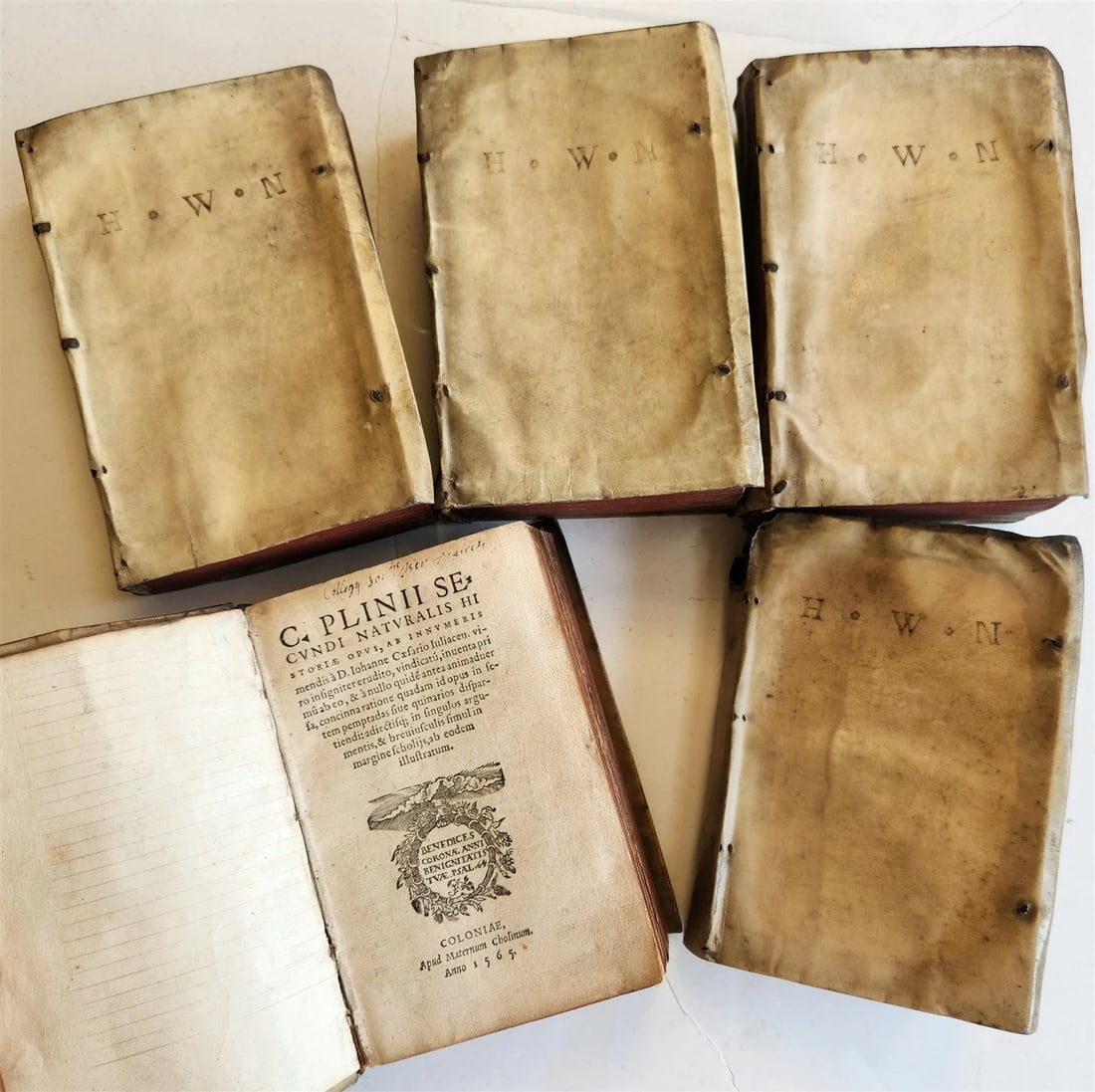 1565 PLINIUS encyclopaedia of natural history 5 VELLUM BOUND VOLUMES 16c ANTIQUE (1 of 20)