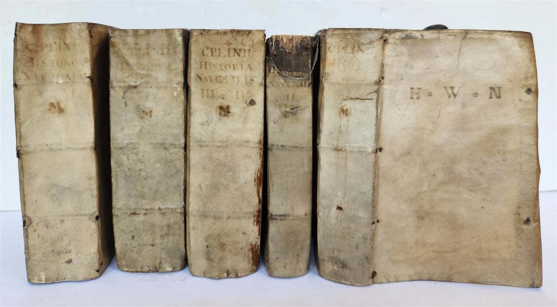 1565 PLINIUS encyclopaedia of natural history 5 VELLUM BOUND VOLUMES 16c ANTIQUE - 2