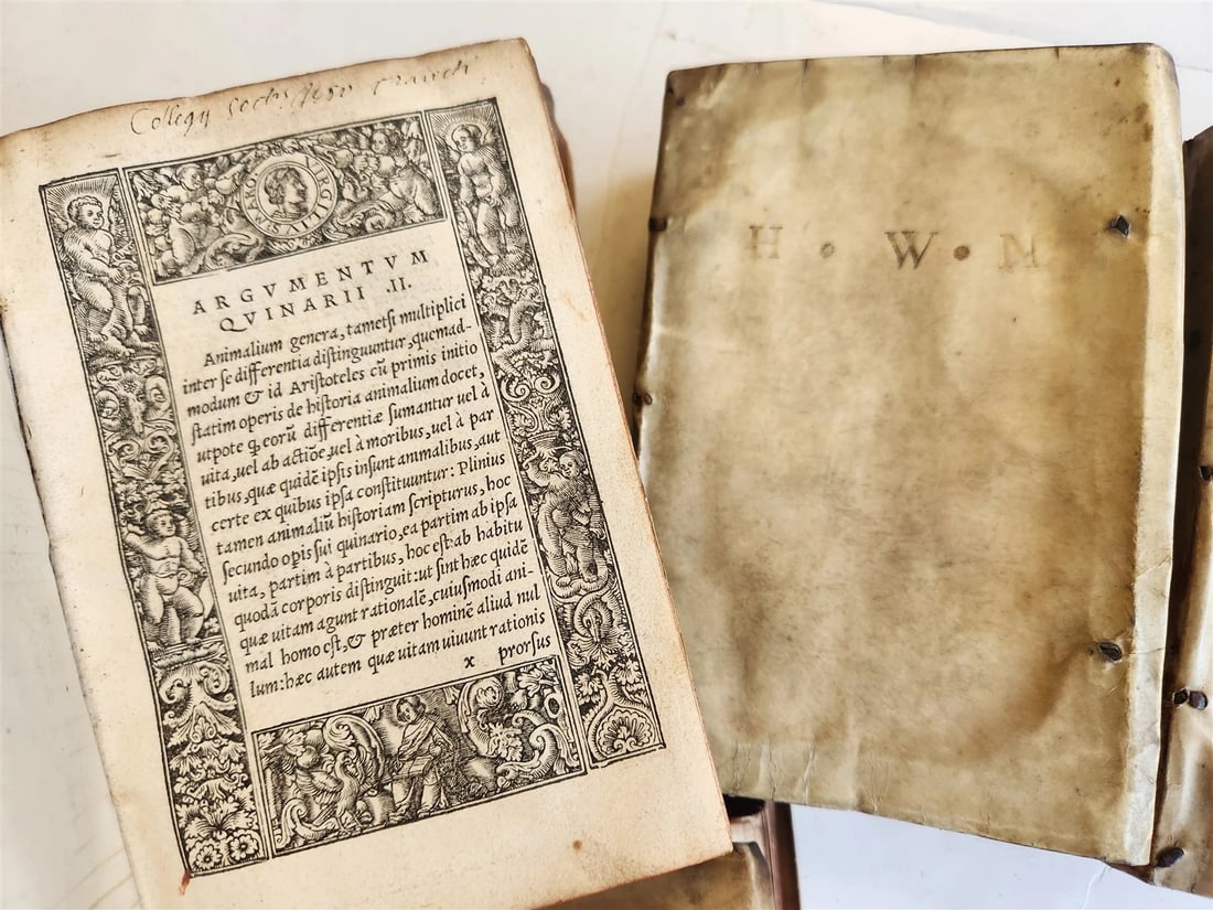 1565 PLINIUS encyclopaedia of natural history 5 VELLUM BOUND VOLUMES 16c ANTIQUE - 3